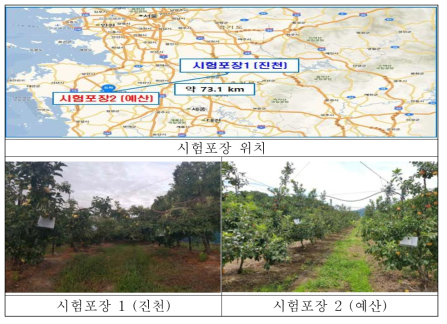 사과 시험포장 위치 및 전경사진