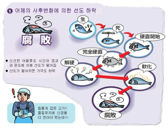 일본의 EU 수출 어선의 기준 3 (위생관리 기준 5) 출처 : 일본 수산청, http://www.jfa.maff.go.jp/