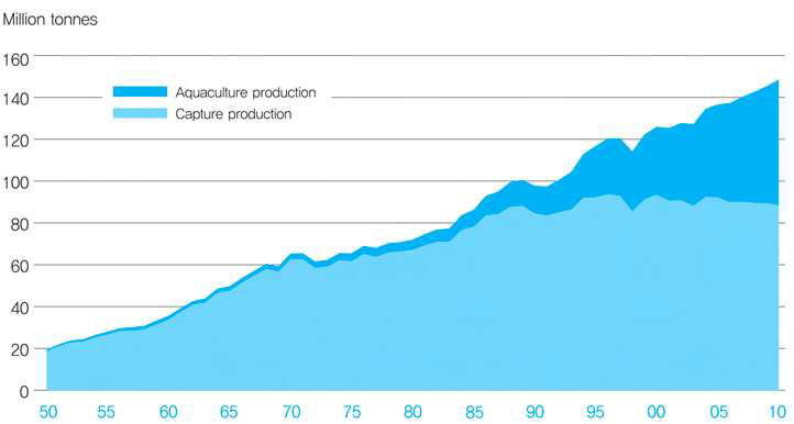 세계 어업 및 양식생산 (출처 : 해양수산부, 세계 수산업 동향 2012, 2013)