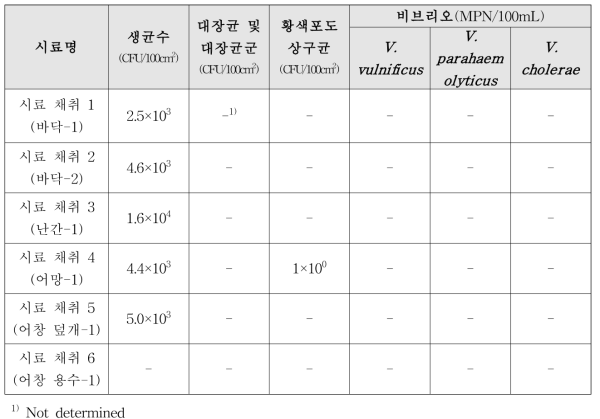 포항지역의 연안자망선-1 시료 채취 미생물 오염도 실험 종합 결과