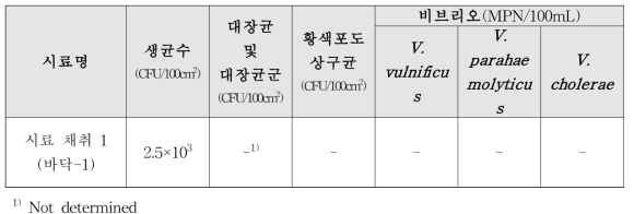 포항지역의 연안자망선-1 시료 채취 미생물 오염도 실험 결과