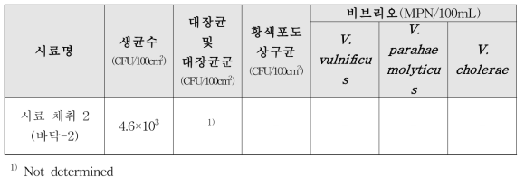 포항지역의 연안자망선-1 시료 채취 미생물 오염도 실험 결과