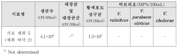 감포지역의 어장관리선 시료 채취 미생물 오염도 실험 결과 5