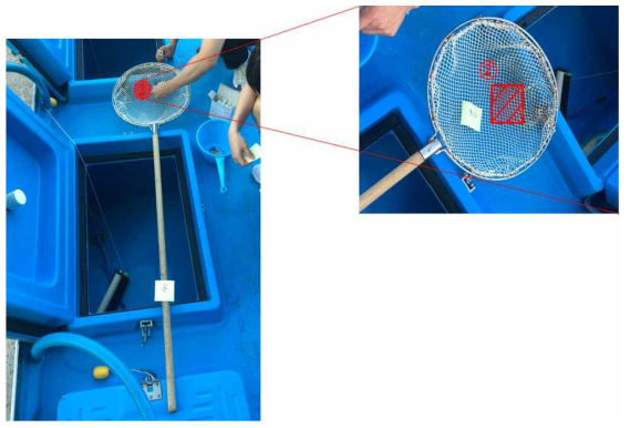 통영지역 활어수송차량(8191) 적재 전 시료 채취 구역 2번