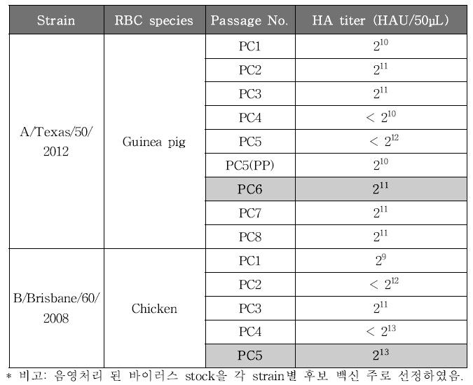 각 strain별 계대 배양에 따른 HA assay 결과