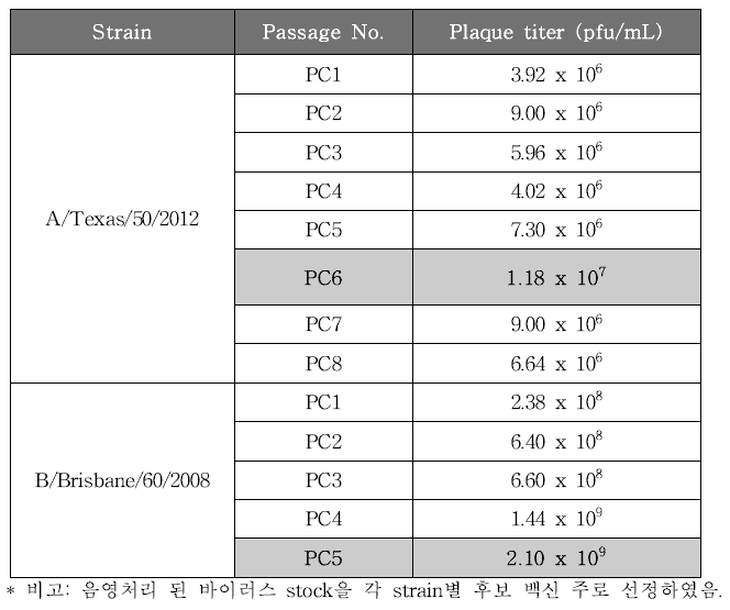 각 strain별 계대 배양에 따른 plaque assay 결과