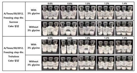 A/Texas/50/2012의 동결건조 buffer 조성에 따른 cake 성상 - 4시간 freezing step 적용