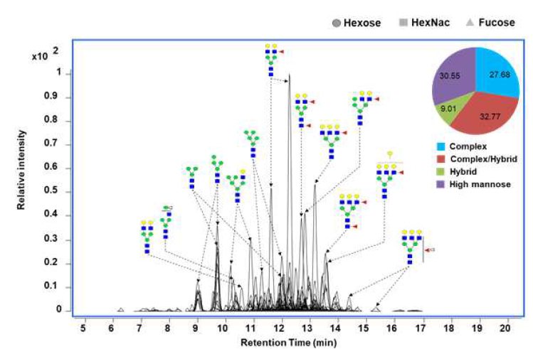 N-glycan profiling 결과