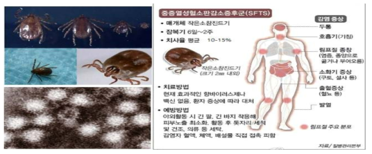 SFTSV의 전파매개체인 참진드기와 인체 감염에 대한 임상 증상