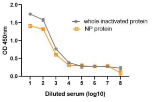 NP 그리고 whole inactivated protein 표준 항원을 활용한 ELISA 비교