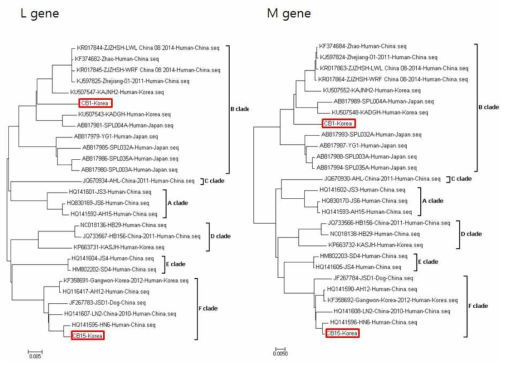 SFTSV L과 M 유전자의 계통학적 분석