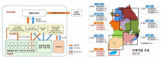 대한민국 임상분야 Kor-GLASS 운영체계 (한림원탁토론회, 2018)