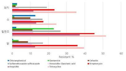 Salmonella의 항생제별 내성 비율