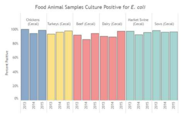 E. coli가 많이 발견되는 Food Animal