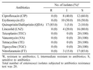 신선편이식품 유래 Enterococcus 항생제 내성율 조사