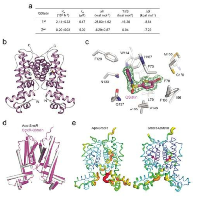 V. vulnificus 발병 기작 제어물질, Qstatin