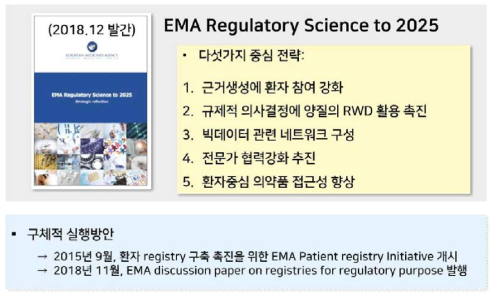 EMA의 RWD 제도도입의 추진방향 및 구체적 실행방안 전략