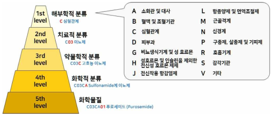 ATC 코드 분류체계