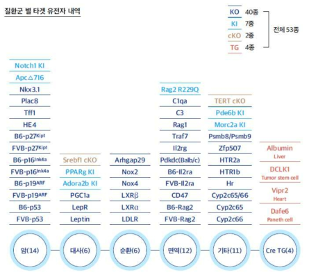 미래 맞춤형 동물모델 개발 연구사업단의 질환모델