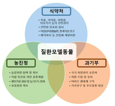 부처별 질환모델동물 관련 주요 키워드