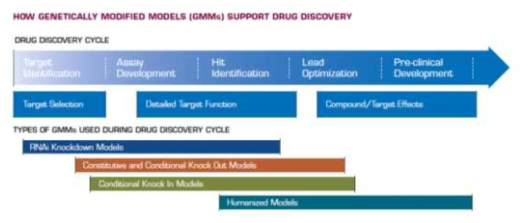 신약 개발에서의 질환모델의 이용