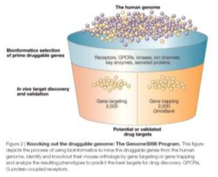 신약 개발을 위한 신규타겟 유전자 검색