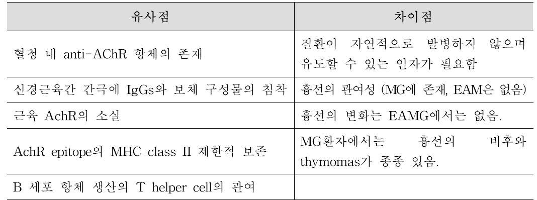 MG와 실험적 모델의 면역병리학적 유사성 및 차이점