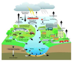 The source of pollution in aqua-system. (Reference: Aertebjerg et al., 2010)