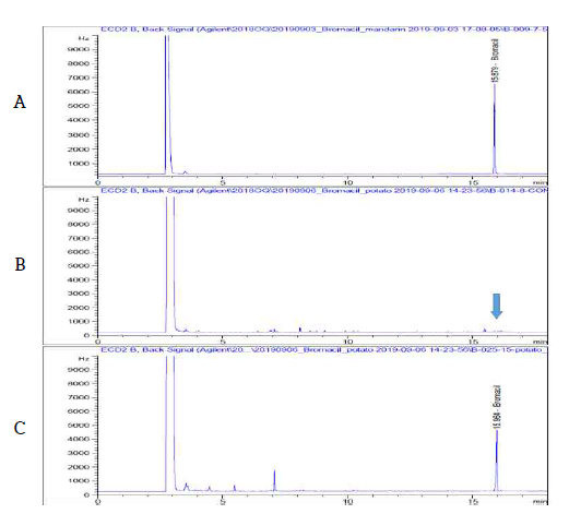 감자 중 Bromacil 농약의 GC-ECD 분석 Chromatogram (A: STD, B: Blank, C: Potato sample)