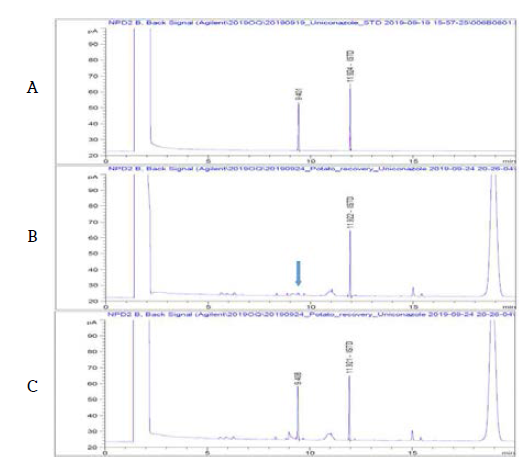 감자 중 Uniconazole의 GC-NPD 분석 Chromatogram (A: STD, B: Potato Blank, C: Potato sample)