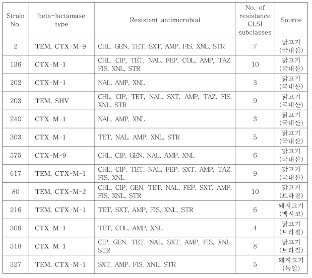 베타락탐아제 생성 E. coli 균주의 항생제내성 패턴