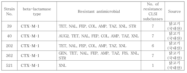 베타락탐아제 생성 Salmonella spp. 균주의 항생제내성 패턴