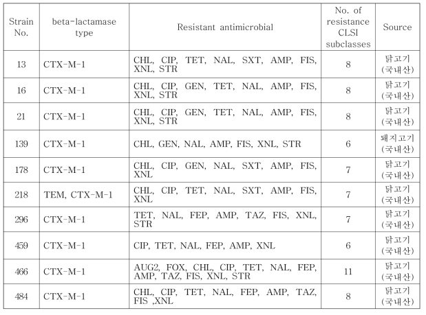 베타락탐아제 생성 E. coli 균주의 항생제내성 패턴