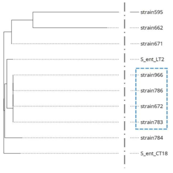 PhyD3 tool을 이용하여 도식화 한 10종 S. enterica strain의 phylogenetic tree