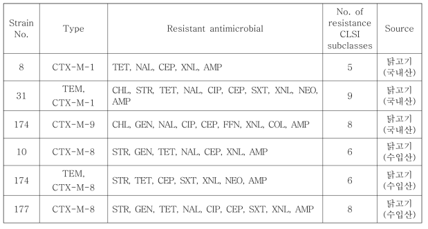 베타락탐아제 생성 E. coli 균주의 항생제내성 패턴