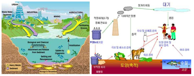 환경유해오염물질(중금속 및 PCBs)의 노출 경로