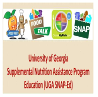 조지아 대학의 영양교육 프로그램 웹사이트