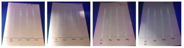 이동상 용매 에테르 : 아세토니트릴(카레 시료, Merck.5554 plate) (왼쪽부터 비율 1:2, 1:5, 2:1, 5:1, v/v, 365 nm)