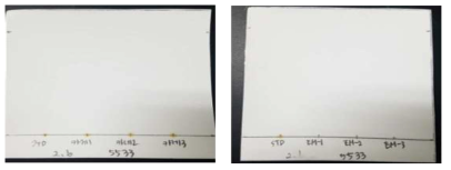 이동상 용매 헥산 : 메탄올(47 : 3, v/v) (왼쪽부터 표준물질, 카레, 소스, Merck.5533 365 nm)