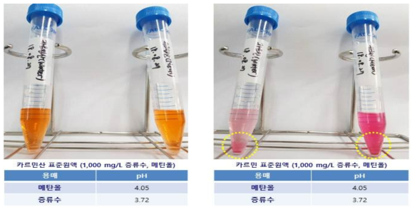 카르민 및 카르민산 표준물질 용해성 및 pH 확인 (좌 : 카르민산 우: 카르민)