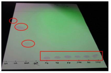 실리카겔 G (Silica gel 60 kieselguhr F254, Merck. 5567)