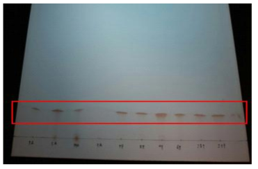 폴리아미드(Silica gel 60 NH2 F254S, Merck. 5533)