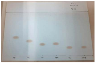 RP-18 (Silica gel 60 RP-18 F254S, Merck. 5559)