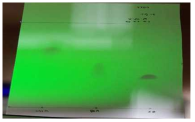 실리카겔G(Silica gel 60 kieselguhr F254, Merck. 5567)