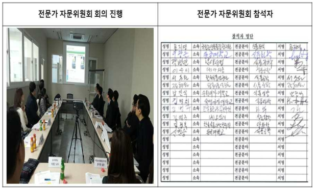 전문가 자문위원회 회의 진행