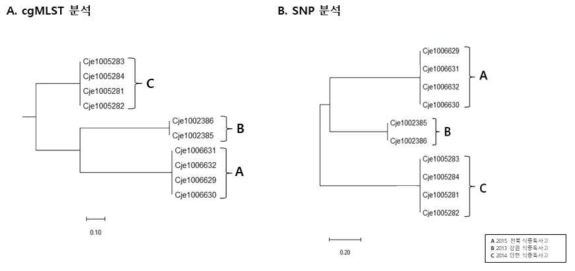 cgMLST와 SNP 분석 결과