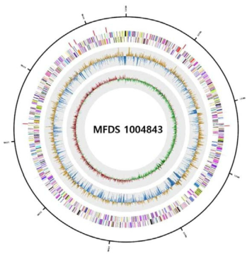 Salmonella spp. 1004843 유전자 지도