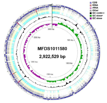 Listeria monocytogenes 1011580 유전자 지도