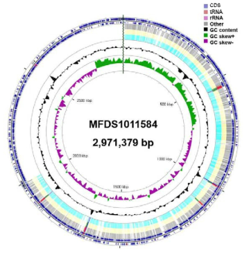 Listeria monocytogenes 1011584 유전자 지도