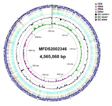 Cronobacter spp. 2002346 유전자 지도
